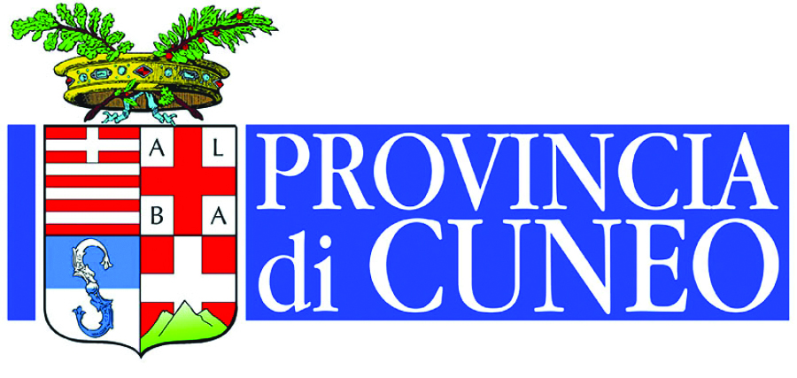 Partner logo
